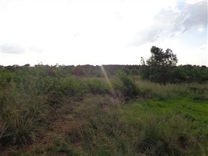 319 m² Land available in Mooikloof Country Residences