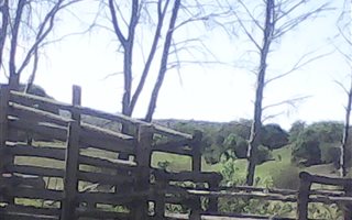 561 ha Land available in Zastron