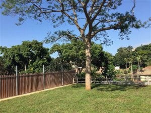 2 Bedroom House in Park Hill
