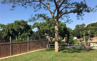 2 Bedroom House in Park Hill