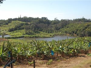 12.2 ha Farm in Marina Beach