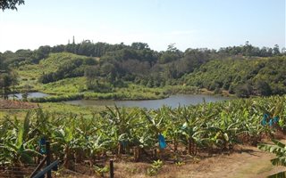 12.2 ha Farm in Marina Beach