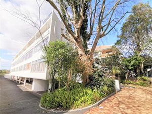 2 Bed Apartment in Rondebosch