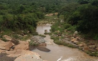 1261 ha Farm in Vryheid