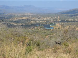 1261 ha Farm in Vryheid