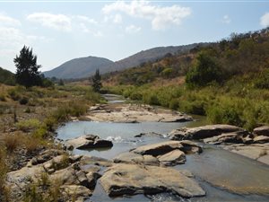 1261 ha Farm in Vryheid
