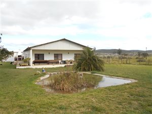 3447 m² Farm in Despatch