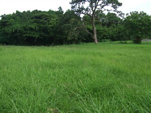 960 m² Land available in Veldenvlei