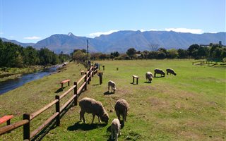 3 ha Farm in Swellendam
