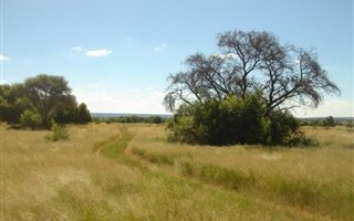 567 ha Farm in Jan Kempdorp