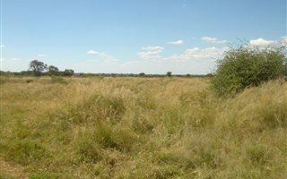 567 ha Farm in Jan Kempdorp