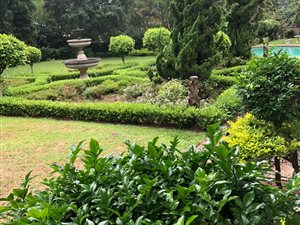 5 Bed House in Woodside