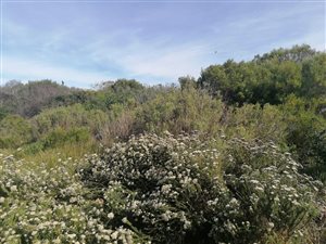 767 m² Land available in Paradise Beach