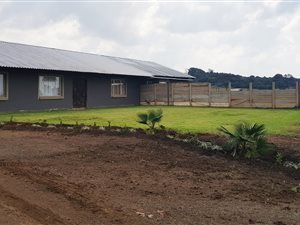 1 ha Farm in Olive Hill