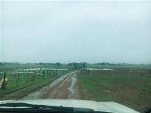 11 ha Farm in Onderstepoort