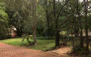 1000 m² Land available in Bryanston East