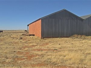 500 ha Farm in Boshof