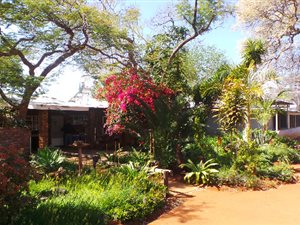 945 ha Farm in Bela-Bela (Warmbaths)