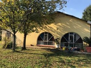 1 ha Farm in Sundra