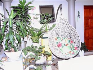 9 Bed House in Bezuidenhout Valley
