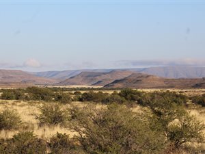 10614 ha Farm in Merweville