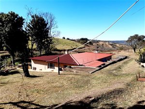 9.3 ha Smallholding in Bishopstowe