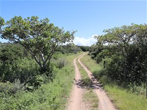 60.8 ha Farm in Kwelera