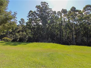 875 m² Land available in Heather Park