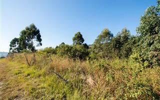 1.6 ha Land available in Alverstone