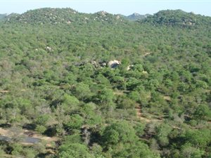 731 ha Farm in Hoedspruit
