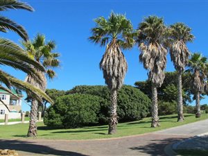 764 m² Land available in Marina Martinique