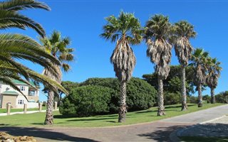 764 m² Land available in Marina Martinique