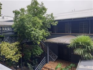 80 m² Office Space in Norwood