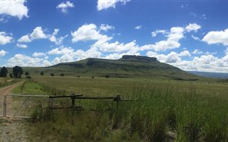 461 ha Farm with House in Harrismith