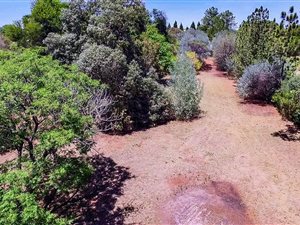 1.8 ha Agricultural Holding in Weltevreden Park