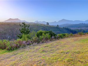 1824 m² Land available in Welgelegen Estate
