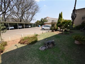 1 Bed Apartment in Pioneer Park