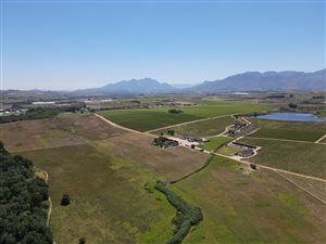 313 ha Farm in Stellenbosch Agricultural