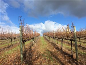 53.2 ha Farm in Elgin