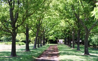 19 ha Farm in Elgin