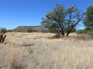 1539 m² Land available in Gariep Dam