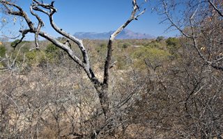 1.2 ha Land available in Raptors View Wildlife Estate