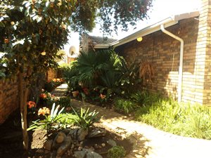 3 Bed Townhouse in Denlee