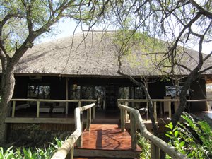 21 ha Farm in Hoedspruit
