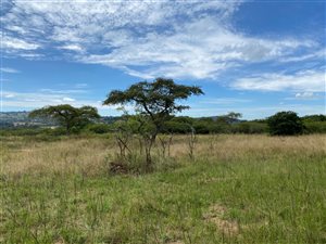 1.4 ha Land available in White River