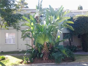 3 Bed Apartment in Radiokop