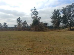 4.2 ha Farm in Cato Ridge