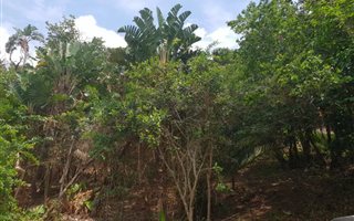 1238 m² Land available in Hibberdene