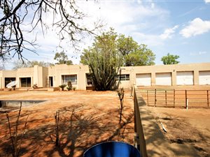 Farm in Kibler Park