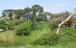 1026 m² Land available in Leisure Bay